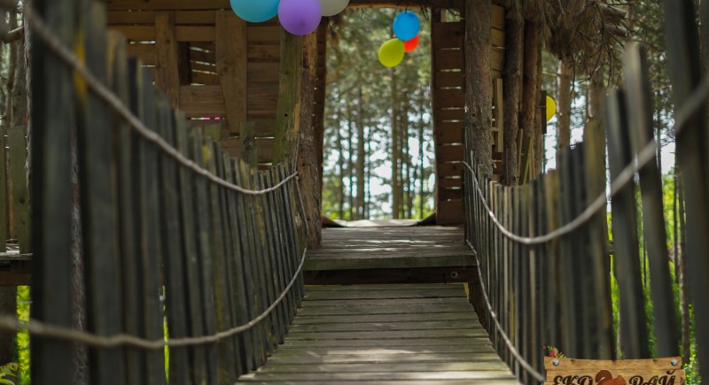 &nbsp;